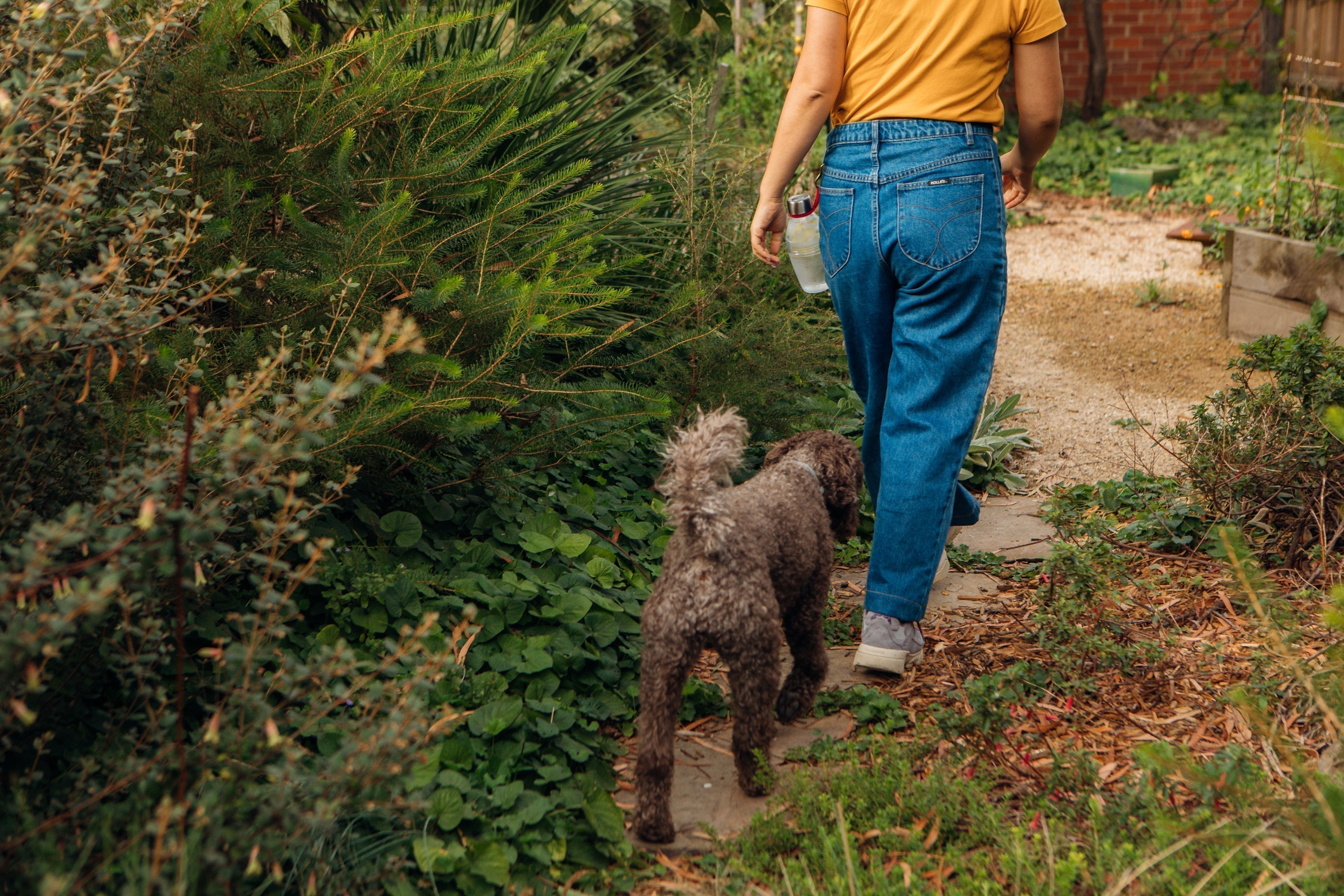 How Much Water Should You Actually Drink? A Science-Backed Hydration Guide