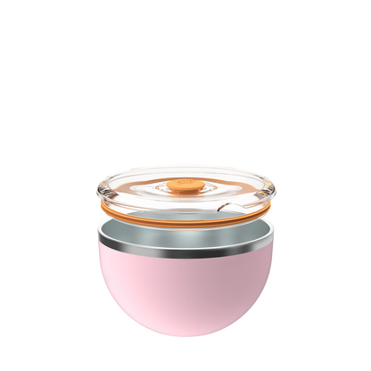 Go Bowl Insulated - Flat Lid | Pashmak Pink