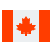ca flag